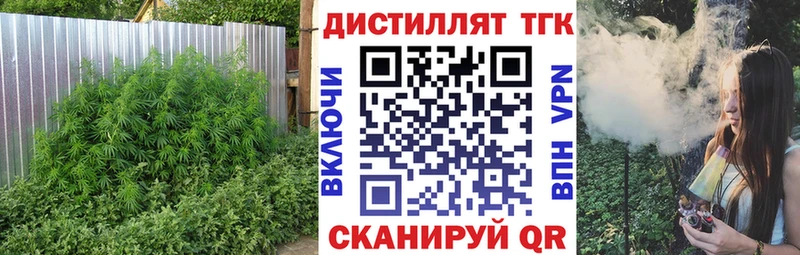 Дистиллят ТГК гашишное масло  Кашин 
