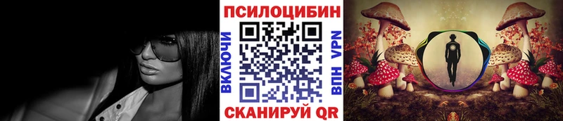 Галлюциногенные грибы Psilocybine cubensis  где можно купить наркотик  МЕГА как зайти  Кашин 